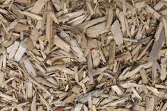 biomass boilers Bicknacre